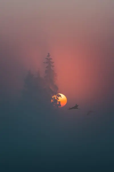 latvianphotographer — Fotogrāfs, Bauska