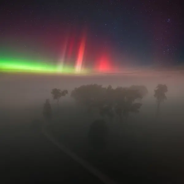 Nordic nature