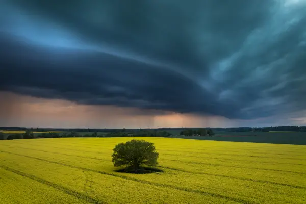 latvianphotographer — Photographer, Bauska