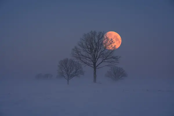 latvianphotographer — Photographer, Bauska