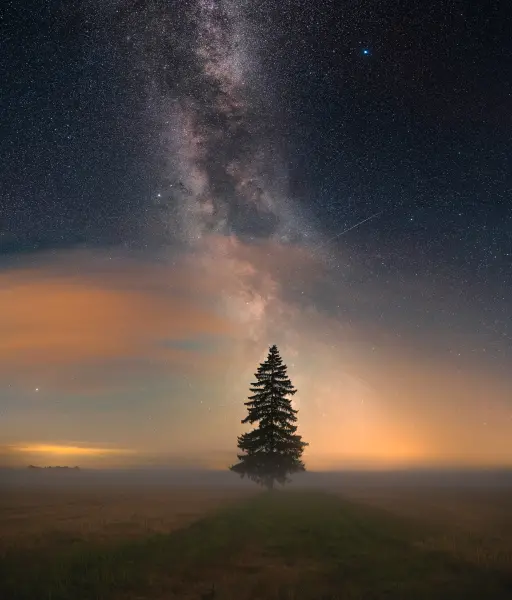 Nordic nature