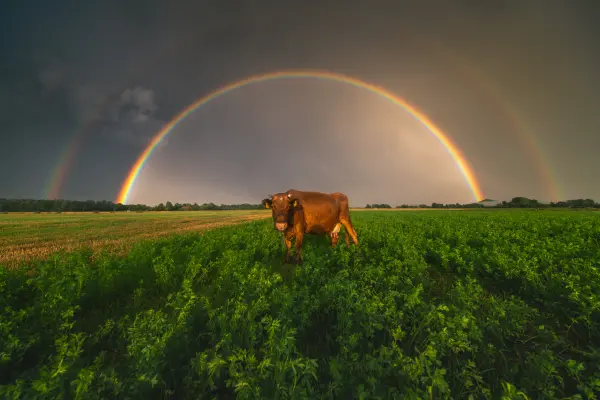 latvianphotographer — Fotogrāfs, Bauska
